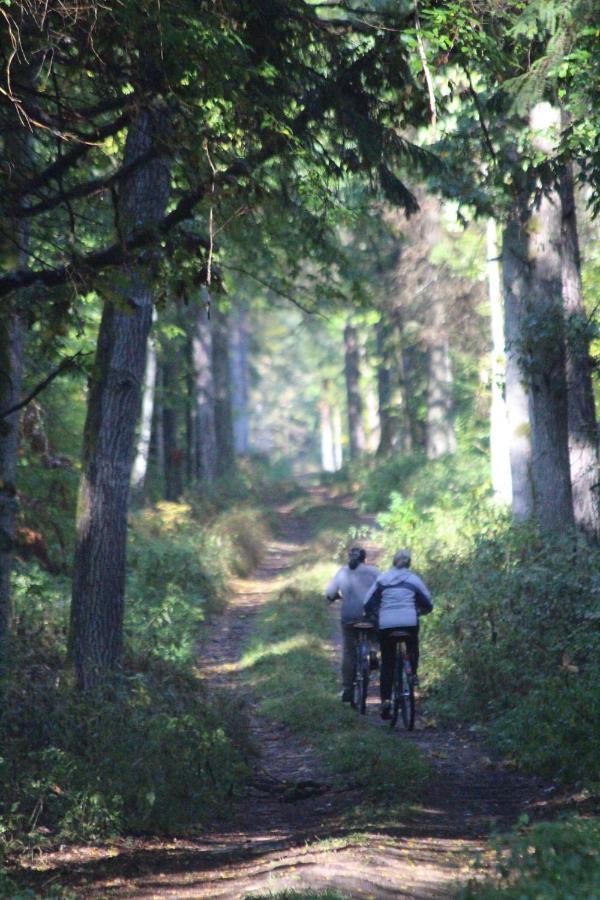 Wejmutka, Bialowieza公寓 外观 照片
